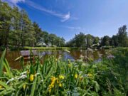 Kompetenz verbindet: Heinrich Sengelmann Kliniken sind Akademisches Lehrkrankenhaus der Medizinischen Fakultät der Universität Hamburg