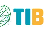 Sommerprogramm bei TIBO