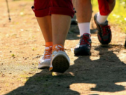 Spaziergänge des Seniorenbeirats Bargteheide