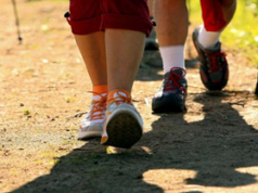 Spaziergänge des Seniorenbeirats Bargteheide