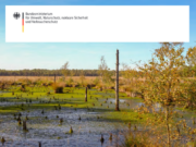 Aktionsprogramm Natürlicher Klimaschutz (ANK) der Bundesregierung: Schleswig-Holstein erhält Fördermittel in Höhe von knapp sechs Millionen Euro