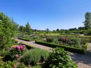 Offener Garten 2025: Heinrich Sengelmann Kliniken laden in die Kliniken und in den „Garten für die Sinne“ ein