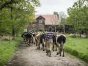 Dynamisch – Solidarisch – Regional: Was ist solidarische Landwirtschaft?