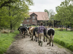 Dynamisch – Solidarisch – Regional: Was ist solidarische Landwirtschaft?