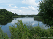 Hydrologisch-floristisches Gutachten für die Hoisdorfer Teiche