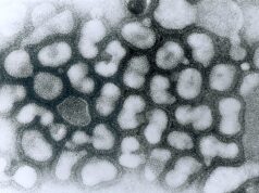 Tierseuchenrechtliche Allgemeinverfügung Nr. 4/2025