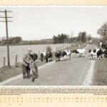 Suelfeld_2026_A3+quer-bilder-4