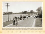 Alte Ansichten zum neuen Jahr – Sülfeld….historisch 2026