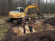 Wasser für Rinder – Refugium für Libellen