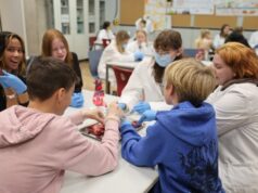 „MINT-Entdeckertage“ in Bad Oldesloe: Zwei Tage voller Experimente, Aha-Momente und Zukunftsideen