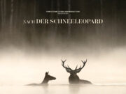 „Das Flüstern der Wälder“