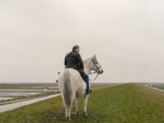 „Der Schimmelreiter“