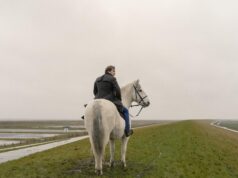 „Der Schimmelreiter“