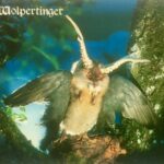 Kulturhof Der Wolpertinger