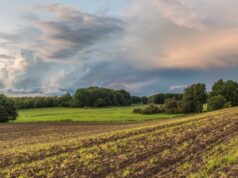 Die Welt der Ahrensburger Rentierjäger Ein Vortrag von Svenja Furken