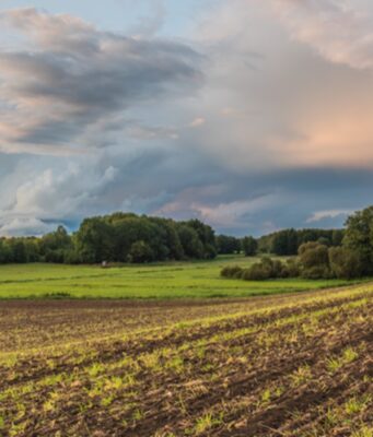 Die Welt der Ahrensburger Rentierjäger Ein Vortrag von Svenja Furken