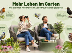Mehr Gezwitscher im Garten: Wie Garten und Balkon vogelfreundlicher werden