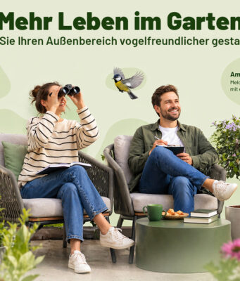 Mehr Gezwitscher im Garten: Wie Garten und Balkon vogelfreundlicher werden