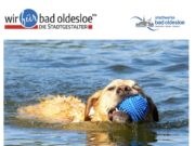 4. Hundebadetag im Freibad Poggensee